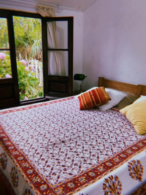 Larica Hostel